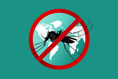 Всемирный день борьбы против малярии!