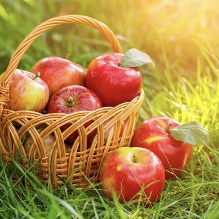 Яблоки – информация для потребителей